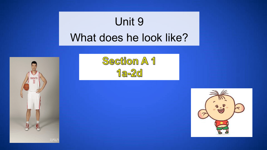 Unit 9 What does he look like Section A 1a-2d课件(共41张PPT)
