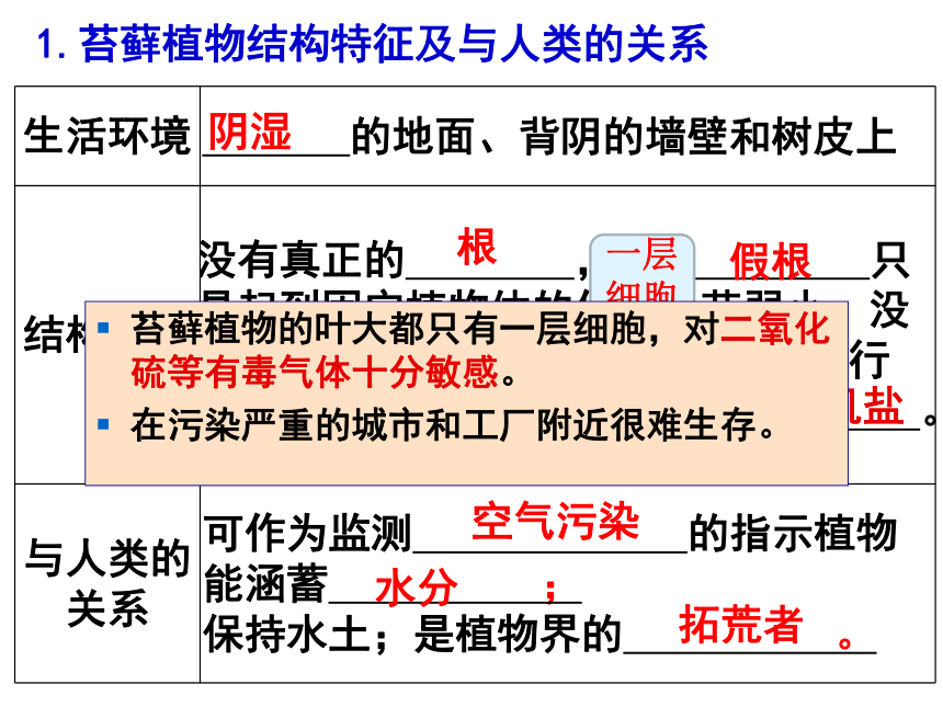 7.22.3 植物的主要类群苔藓蕨类-2022-2023学年八年级下册生物同步高效课件（北师大版）(共25张PPT)