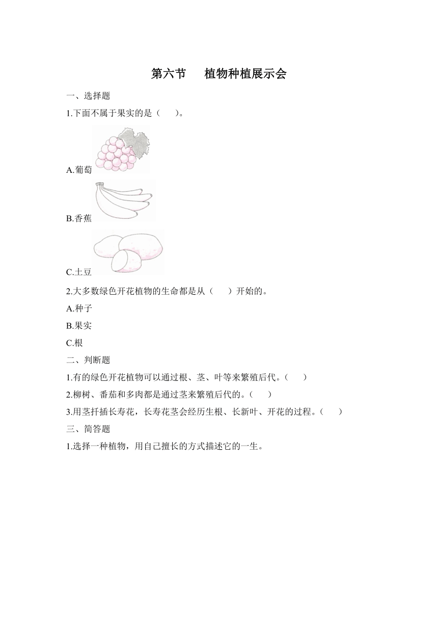 科学大象版（2017秋）三年级下册3.6 植物种植展示会 同步练习（含答案）