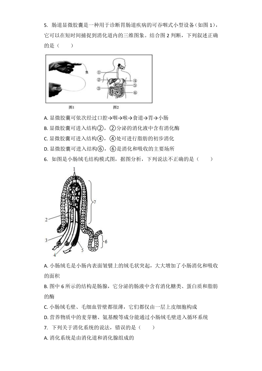 生物冀教版七年级下册 第2单元第1章第2节 二、食物在胃肠内的消化 习题（word版含解析）