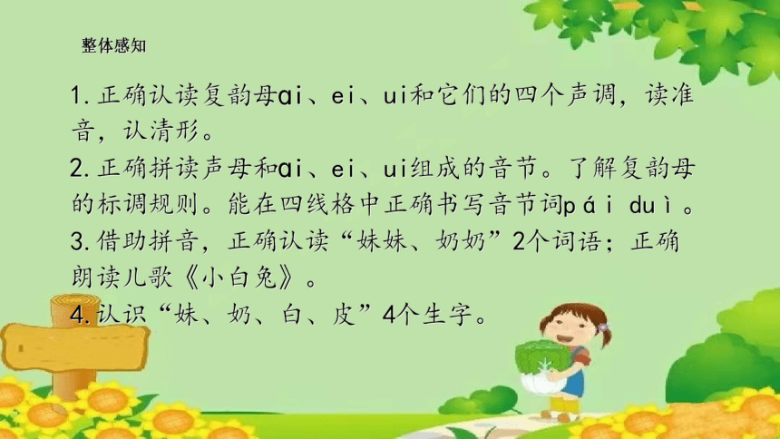 汉语拼音 9 ɑi ei ui    课件(共26张PPT)