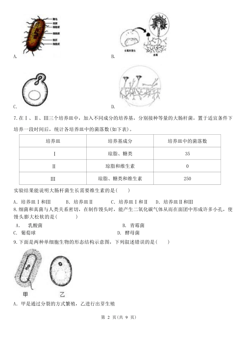 1.6 细菌和真菌的繁殖 同步练习（含答案）
