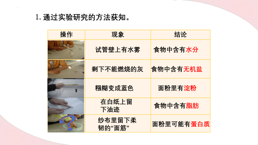 8.1人类的食物课件(共26张PPT)2022--2023学年北师大版七年级下册生物