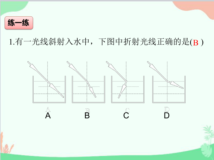 北师大版八年级物理上册 5-4光的折射 课件(共24张PPT)