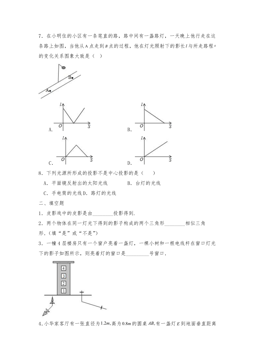 5.1投影试题（含答案） 北师大版九年级数学上册