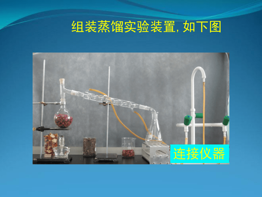 选修一 第三部分 实验7 用蒸气蒸馏法从芳香植物中提取精油 植物精油的提取 课件（38张PPT）浙科版