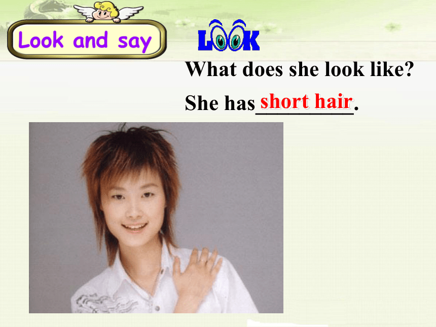 Unit 1  What does he look like? 第一节课(共146张PPT)