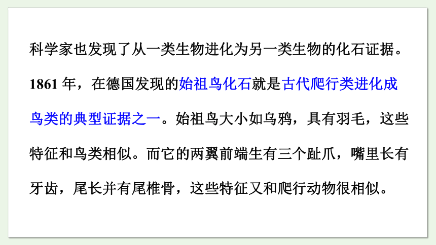 5.16.2 生物进化的历程课件(共18张PPT)2023-2024学年初中生物苏教版八年级上册