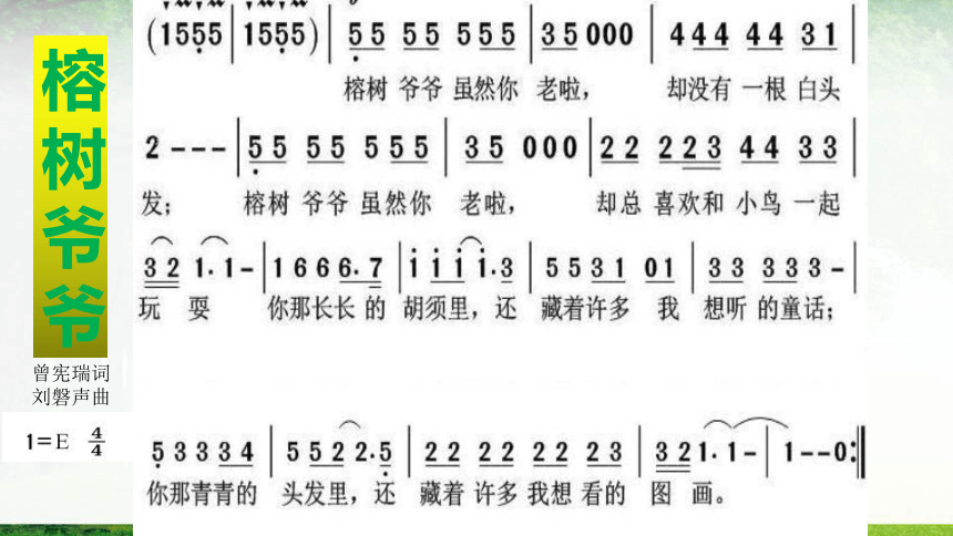 人音版六年级下册 5.3榕树爷爷  课件(共13张PPT)