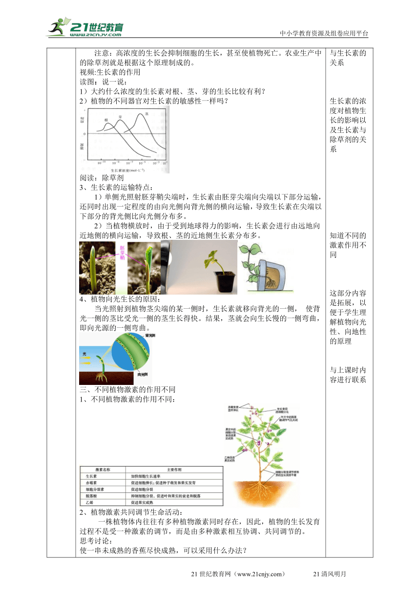 2022浙教版八上科学3.1植物的生命活动调节（2） 教学设计