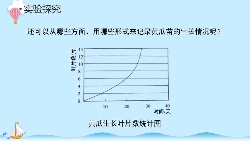 科学大象版（2017秋）三年级下册3.3 茁壮成长课件（14张PPT）