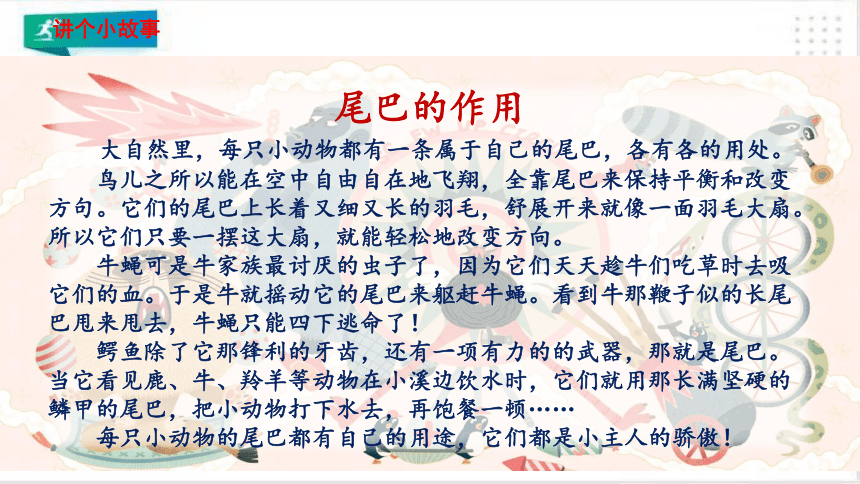 课文6.比尾巴  课件（共36张PPT）