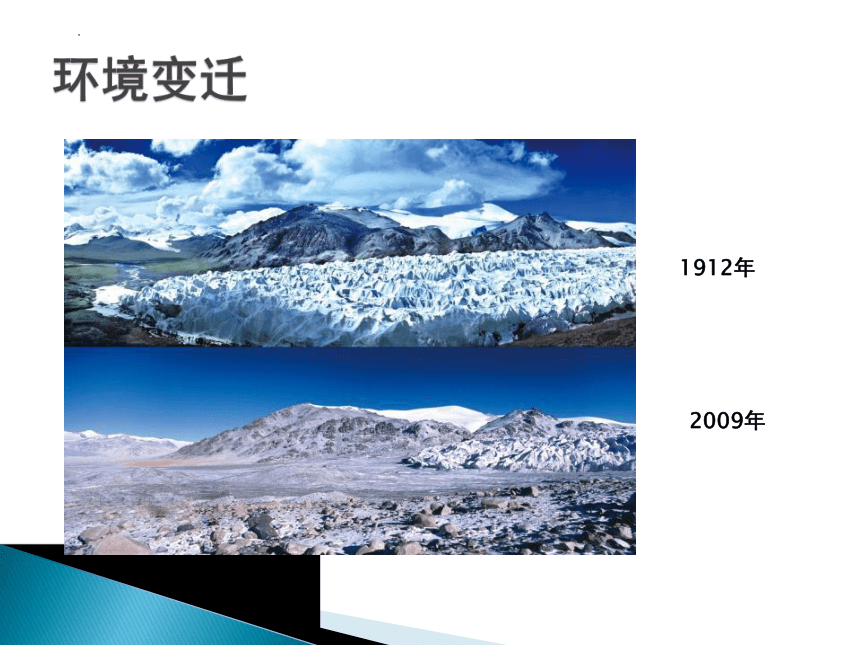 9.2高原湿地-三江源地区-三江源地区的生态课件-2021-2022学年八年级地理下学期人教版(共15张PPT)