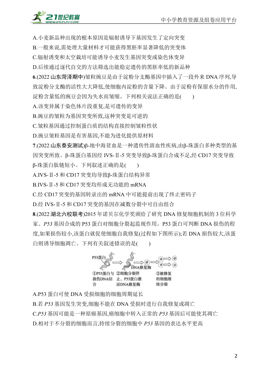 高中生物课时规范练20　基因突变、基因重组(学生版含答案详解)