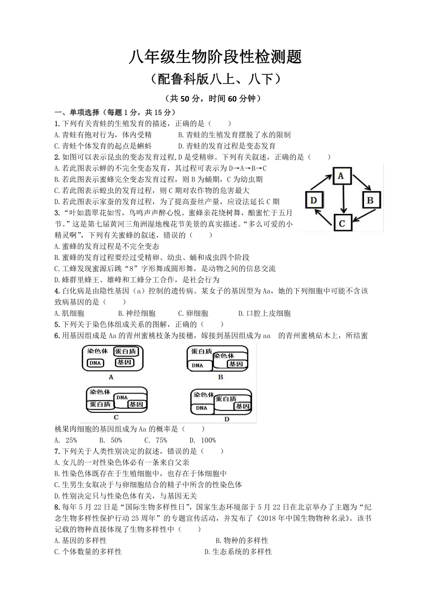 山东省新泰市羊流镇初级中学2020--2021学年上学期八年级生物期末试题（鲁科版八上 八下）（word版含答案）