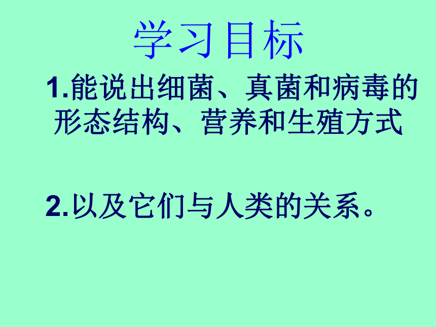 14.3神奇的微生物课件(共37张PPT)