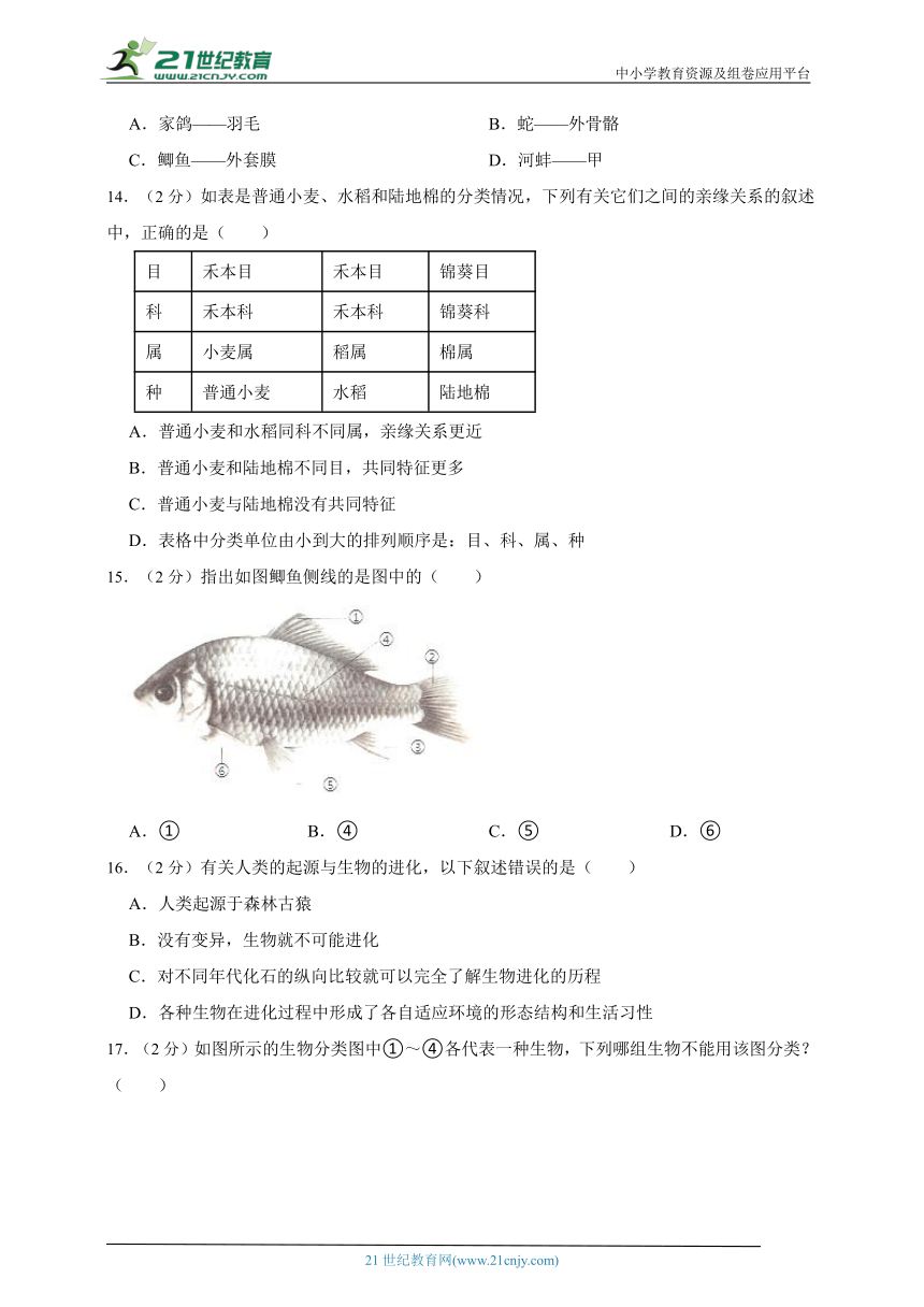 苏教版生物八年级上册期中模拟检测题（二）（含解析）