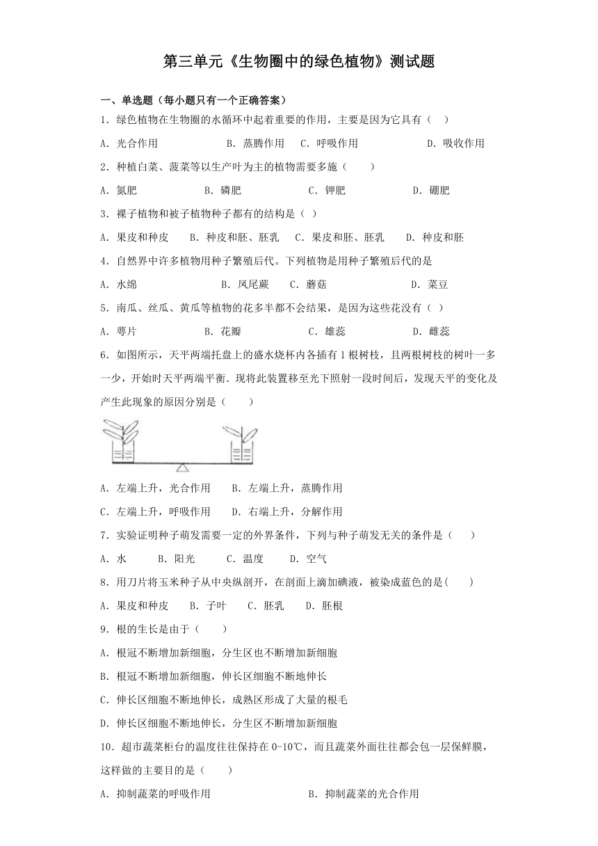 人教版生物七年级上第三单元《生物圈中的绿色植物》测试题（word版含答案）