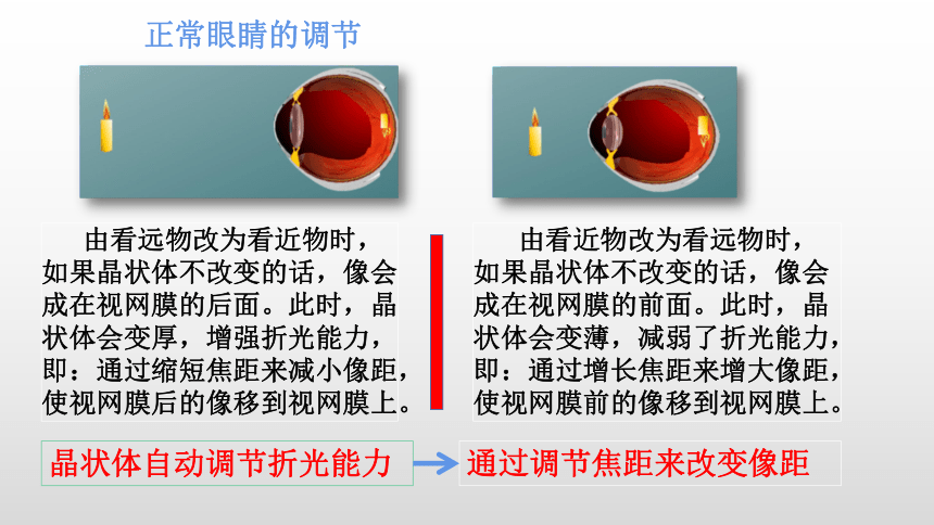 4.6神奇的眼睛—沪科版八年级全一册物理课件(共21张PPT)