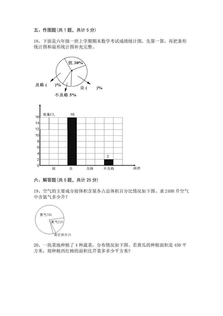 六年级上册数学 第六单元 扇形统计图 测试卷 北京版(含答案)