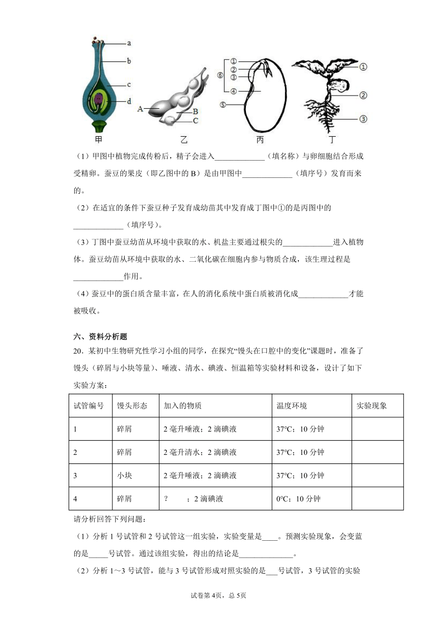 2020-2021学年 北师大版七年级下册第八章人体的营养测试卷（Word版 含答案）