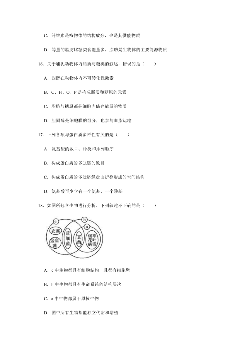 河北省石家庄市元氏县第四中学2021-2022学年高一上学期期中考试生物试卷（Word版含答案）