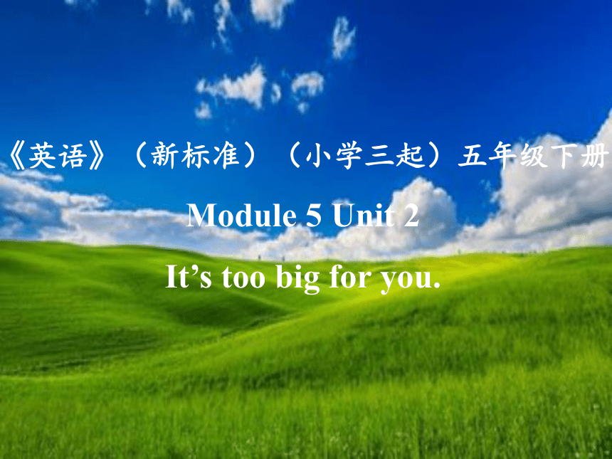 Module 5 Unit 2 It’s too big for you.课件(共10张PPT)