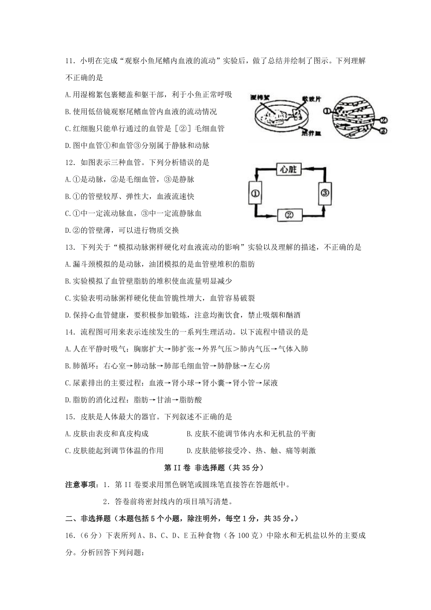 山东省泰安市东平县（五四学制）2021--2022学年七年级上学期期末生物试题（word版无答案）