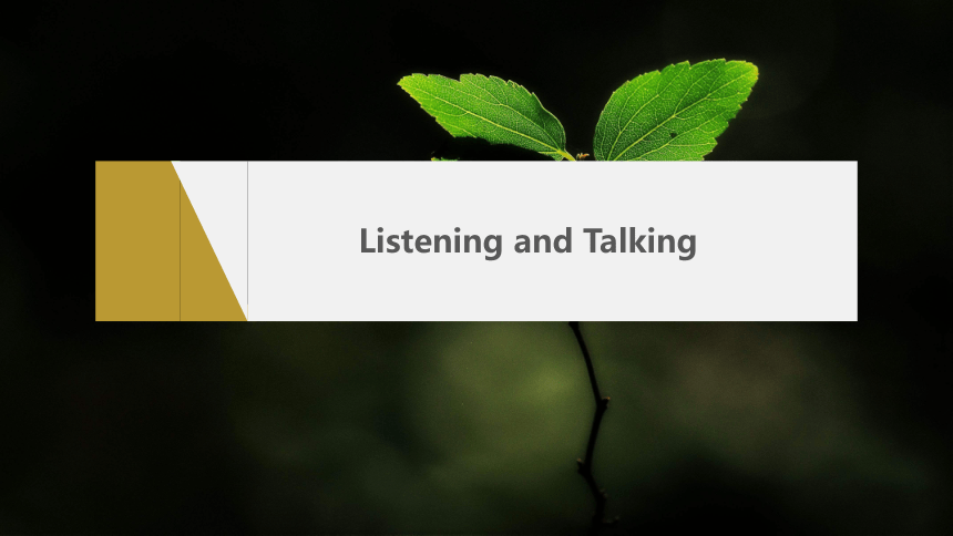 Unit 5 Listening and Talking课件（共27张PPT）人教版（2019）选择性必修 第三册