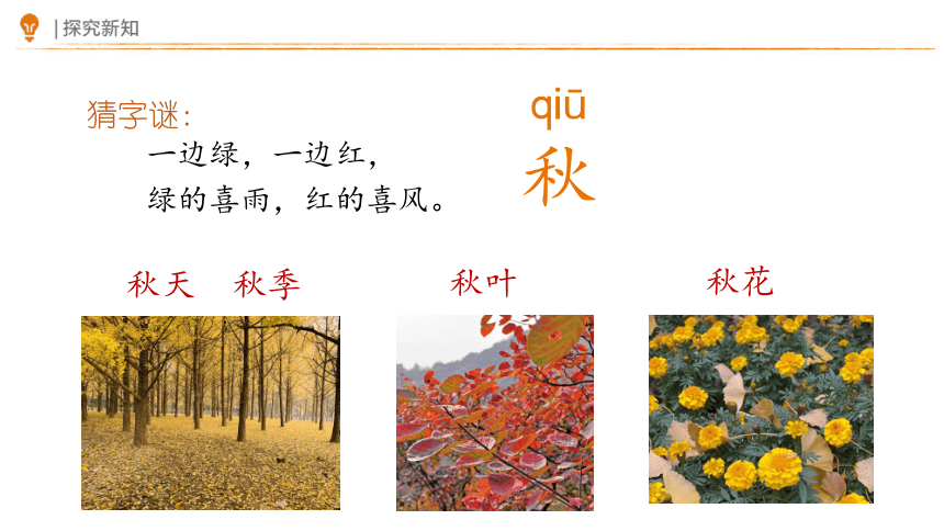 1 秋天 第一课时 课件(共25张PPT)