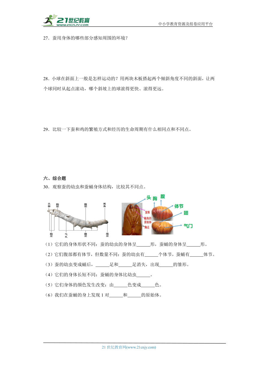 教科版（2017秋）三年级下册科学期中综合训练（含答案）