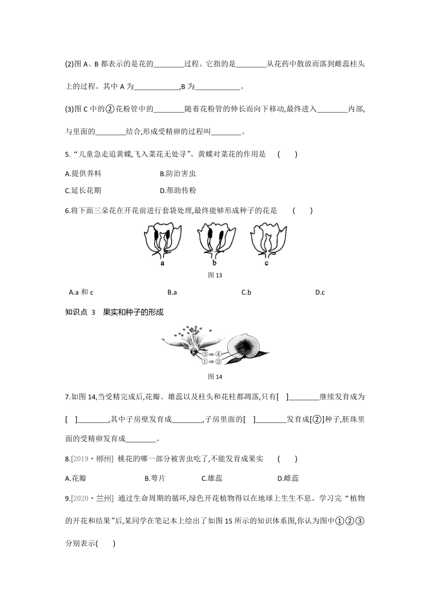 2021-2022学年人教版生物七年级上册3.2.3开花和结果---同步练习（word版 含解析）