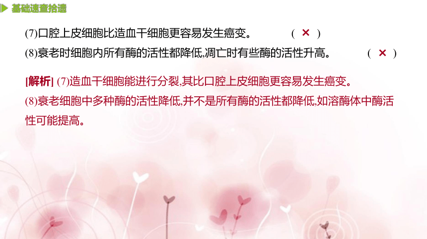 【二轮专题复习课件】第5讲　细胞的分裂、分化、衰老、凋亡和癌变(共63张PPT)