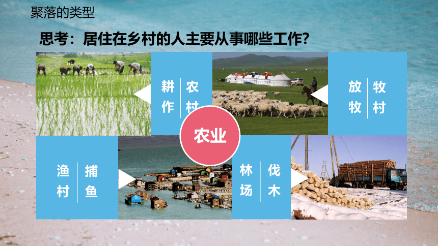 4.3人类的聚居地—聚落 课件2022-2023学年人教版地理七年级上册(共43张PPT)