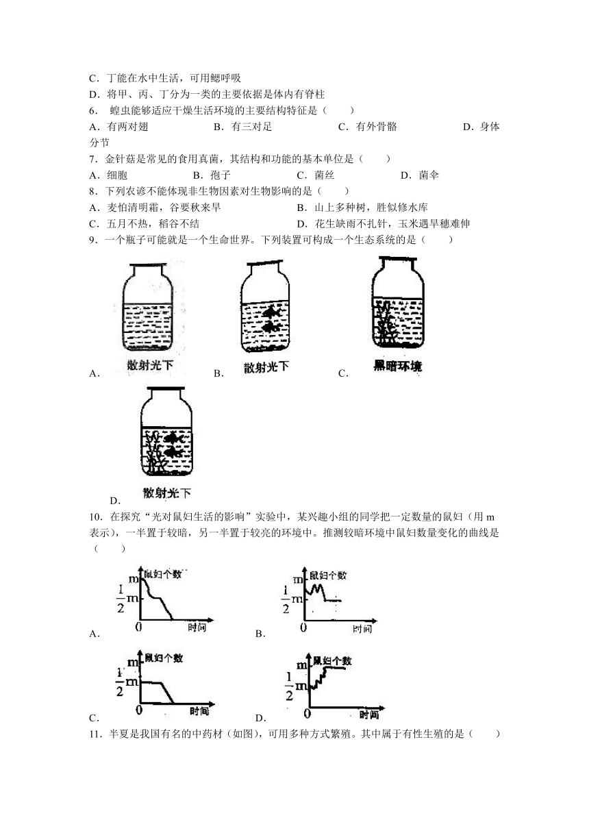2023年河南省洛阳市中考二模生物试题（含答案）