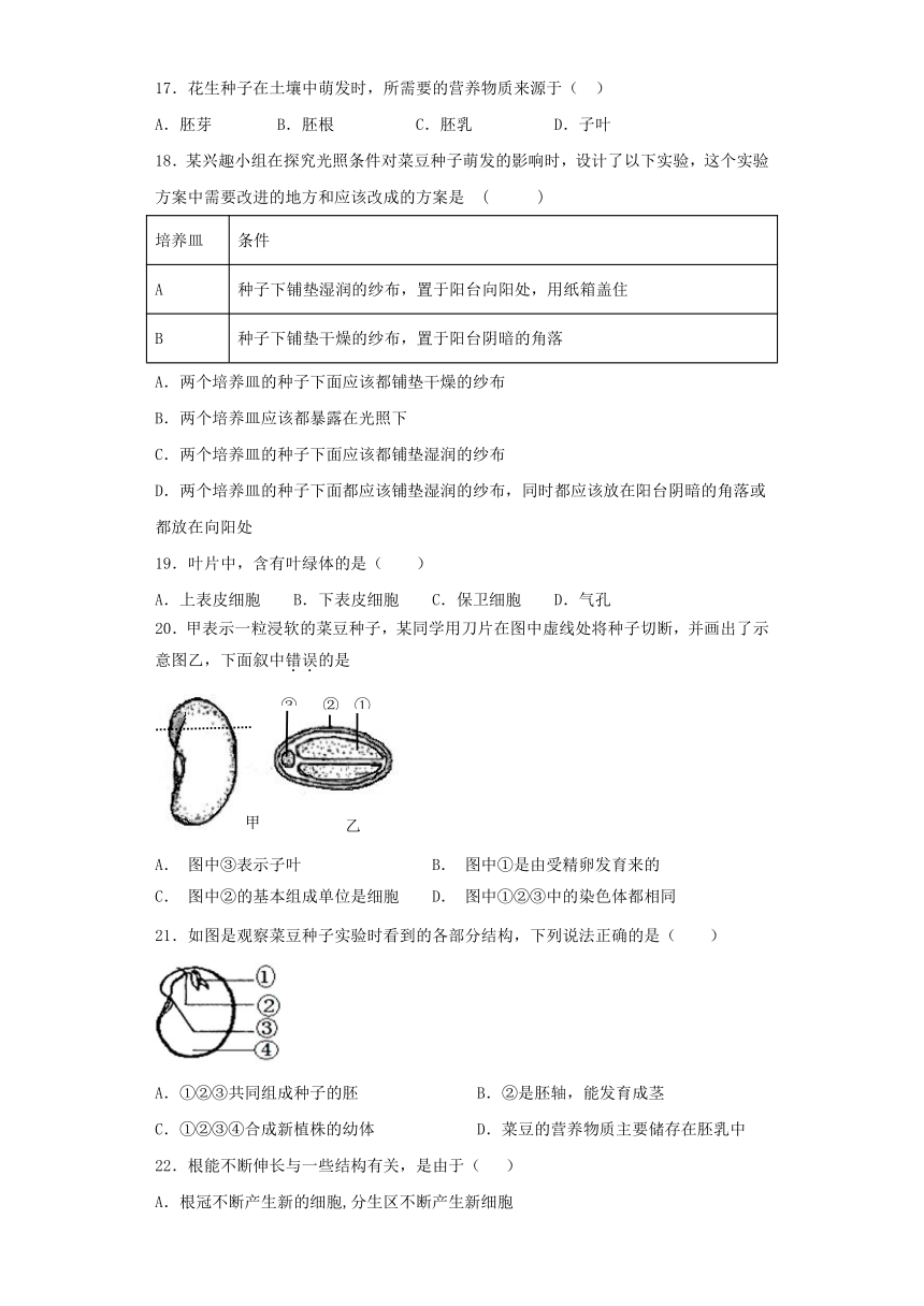 人教版生物七年级上第三单元第二章 被子植物的一生同步测试（word版含答案）