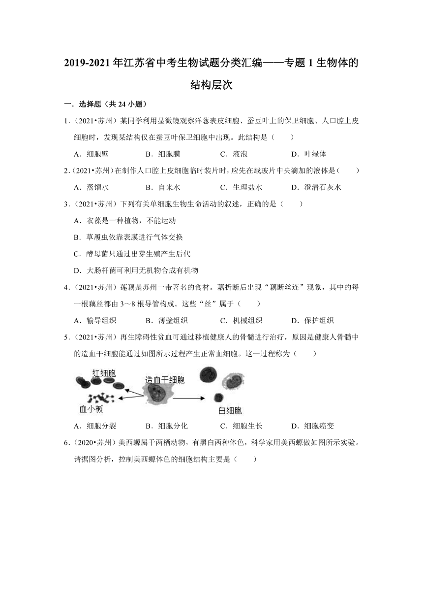 专题1生物体的结构层次----2019-2021年江苏省中考生物试题分类汇编（word版 含解析）