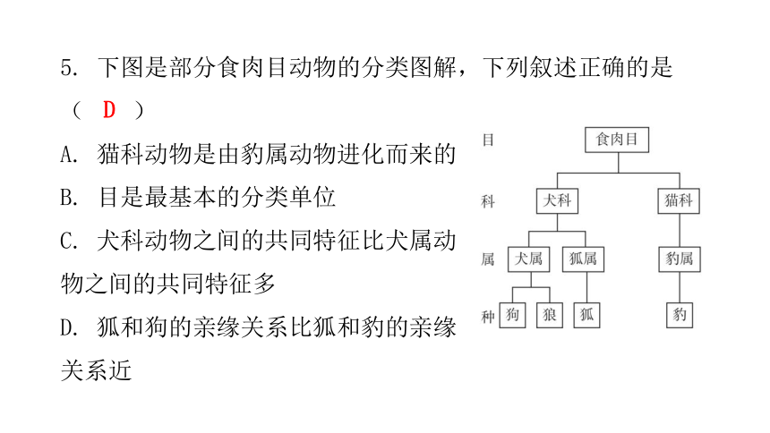 2020-2021学年八年级生物下册（北师大版）22.1  生物的分类 课件 （35张PPT）