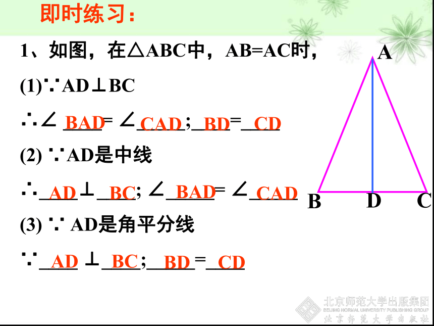 北师大版七年级数学下册 5.3 生活中的轴对称复习课 课件(共16张PPT)