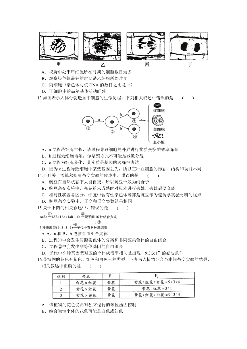 河南省名校联盟2020-2021学年高一下学期期末考试生物试题 Word版含答案