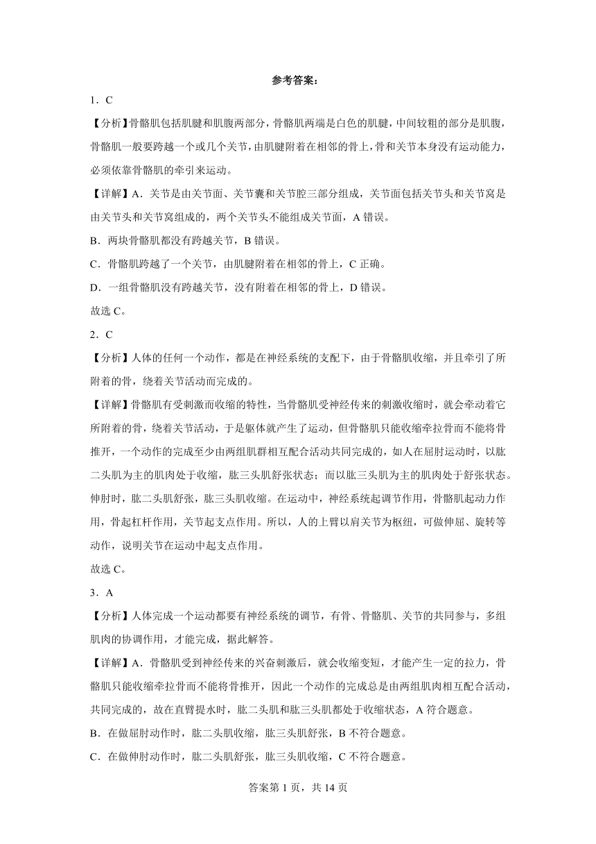 贵州省铜仁市第十一中学2022年秋季学期  八年级上册期中 北师大版生物期中测试题（PDF版含答案）