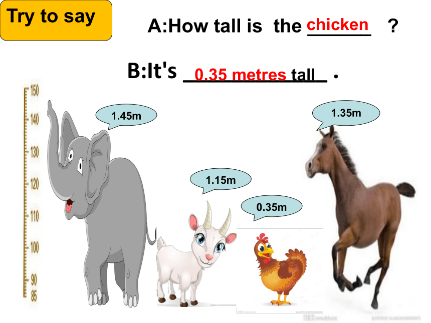 Unit 3 Lesson 14 Are You Short or Tall ？课件(共33张PPT)