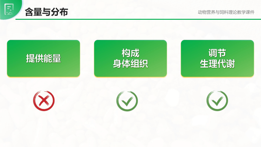 1.2.5钙、磷的营养作用与缺乏症 课件(共67张PPT)-《畜禽营养与饲料》同步教学（高教版）