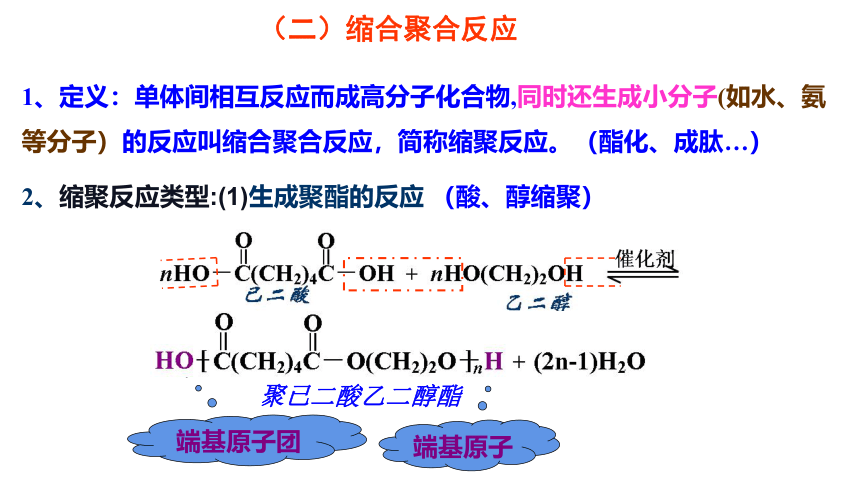 人教版（2019）高二化学选择性必修三 5第五章 合成高分子 单元小结 课件（32张ppt）