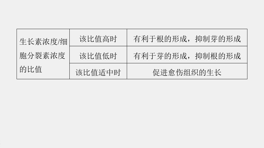 高中生物苏教版（2019）选择性必修3 生物技术与工程 第二章 微专题　植物细胞工程和动物细胞工程的综合考查（38张PPT）