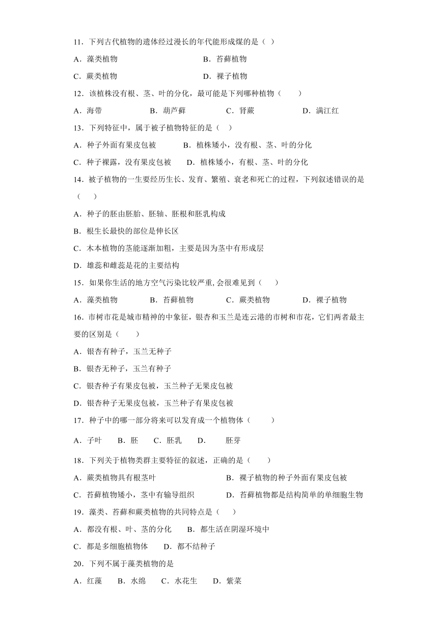 人教版生物七年级上第三单元第一章《生物圈中有哪些绿色植物》测试题（word版含答案）