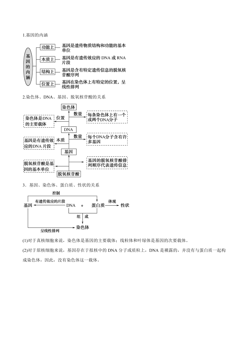 3.4 基因通常是有遗传效应的DNA片段学案