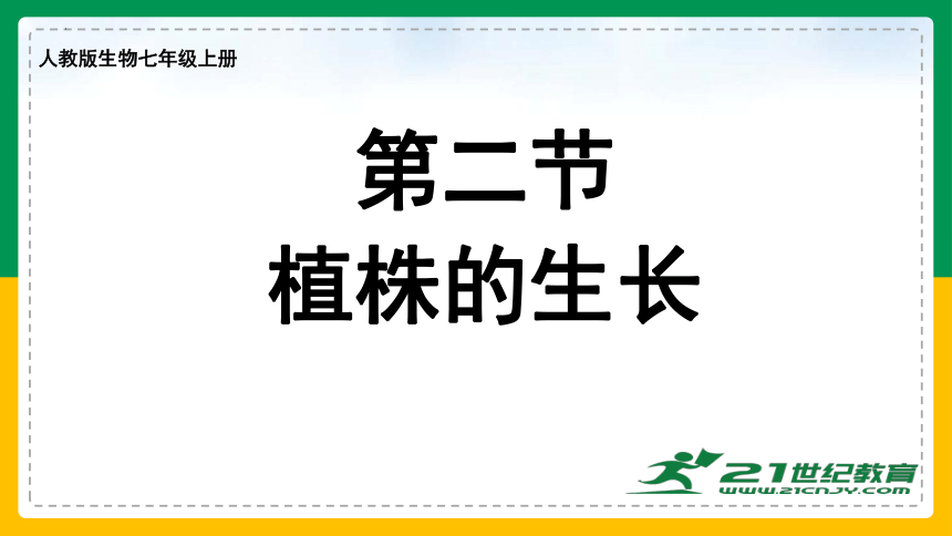 3.2.2 植株的生长-2022-2023学年上学期七年级生物名师精讲课件（人教版七上）(共35张PPT)