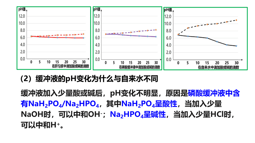 生物人教版（2019）选择性必修1 1.2内环境的稳态（共41张ppt）