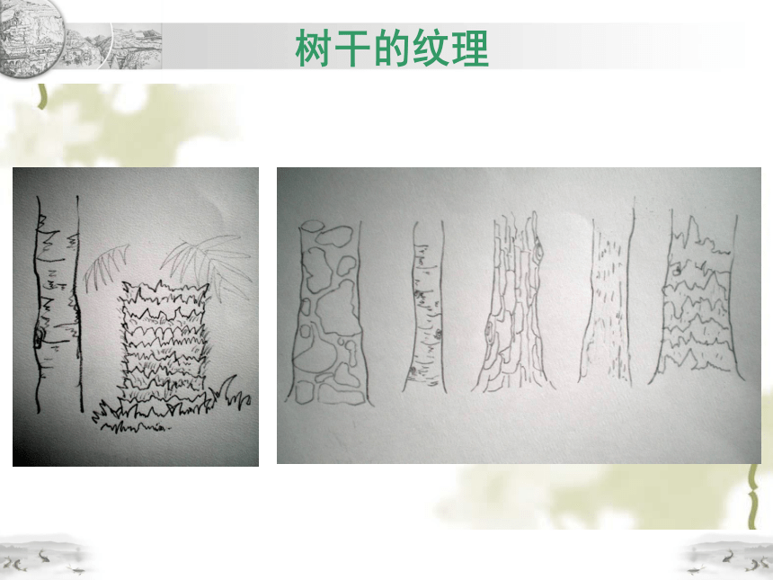 四年级上册美术课件第3课 我们来画树 沪教版（21张ppt）